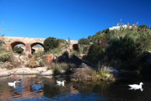 Paisajes rurales de Ibiza en invierno