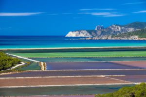 Naturaleza en Ibiza en invierno